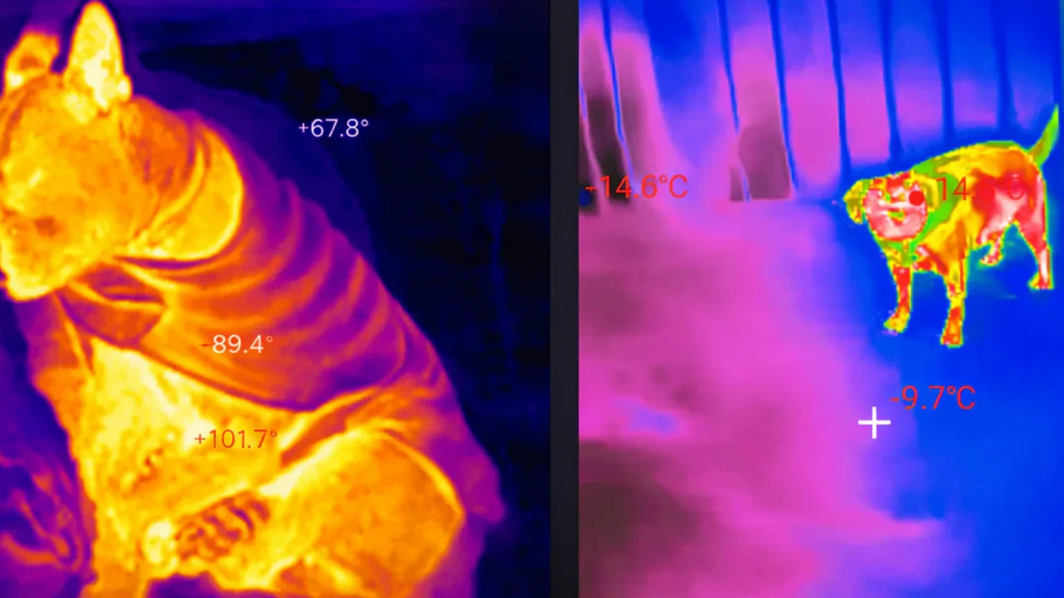 THERMAL CAMERA